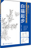 

美术入门：白描起步