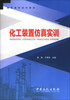 

化工装置仿真实训/高职高专系列教材