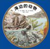 

海边的动物
