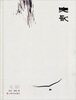 

无影