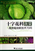 

十字花科蔬菜高效栽培新技术70问