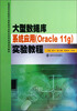 

大型数据库系统应用（Oracle 11g）实验教程/应用型本科院校计算机类专业校企合作实训系列教材