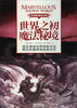

不可思议的古文明：世界之初与魔法秘境