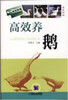 

高效养殖致富直通车高效养鹅