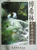 

中国近现代名家精品丛书傅希林彩墨画作品精选