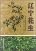 

辽宁花生
