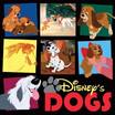 

Disneys Dogs
