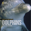 

Face to Face with Dolphins