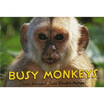 

Busy Monkeys Busy Book
