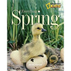 

Everything Spring