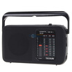 

TECSUN R-303 radio