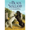 

BLACK STALLION AND THE LOST CI