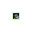 10Pcslot L6386D013Tr L6386D013 L6386D L6386 Sop14 Good Qualtityhot Sell Free Shippingbuy It Direct huismerk kopen in de aanbieding 10Pcslot L6386D013Tr L6386D013 L6386D L6386 Sop14 Good Qualtityhot Sell Free Shippingbuy It Direct huismerk kopen in de aanbieding