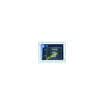5pcslot ltc2411ims ltnt 5 MSOP10 Good qualtityHOT SELL FREE SHIPPINGBUY IT DIRECT