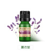 Joy Collection Kouou Car Perfume Essential Oil Aromatherapy Air Conditioning Ventilation Wisteria Floral Green joy collection kopen in de aanbieding Joy Collection Kouou Car Perfume Essential Oil Aromatherapy Air Conditioning Ventilation Wisteria Floral Green joy collection kopen in de aanbieding