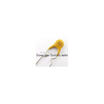 20Pcs Pptc Resettable Fuse Rxef020 72V 02A Xf020 200Ma Polyswitch huismerk kopen in de aanbieding 20Pcs Pptc Resettable Fuse Rxef020 72V 02A Xf020 200Ma Polyswitch huismerk kopen in de aanbieding