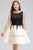 Babyonlinedress 2018 Sexy Backless Applique Knee Length Party Prom Gown Homecoming Cocktail Dress babyonlinedress kopen in de aanbieding Babyonlinedress 2018 Sexy Backless Applique Knee Length Party Prom Gown Homecoming Cocktail Dress babyonlinedress kopen in de aanbieding