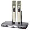 Victory TAKSTAR TS-8807 Wireless Microphone Microphone One-Two U-Band FM Family KTV Conference Stage Performance Stable High Quality Full Metal Champagne