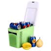 NFA 5271 car incubator ambient temperature plus or minus 20 degrees cold&warm box car insulation box