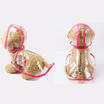 Meihuid Transparent Pet Rain Coat For Dogs Jacket Cute Casual Waterproof Dog Clothes meihuid kopen in de aanbieding Meihuid Transparent Pet Rain Coat For Dogs Jacket Cute Casual Waterproof Dog Clothes meihuid kopen in de aanbieding