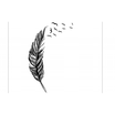 Duopindun Removable Vinyl Decal Wall Birds Flying Feather Diy Sticker duopindun kopen in de aanbieding Duopindun Removable Vinyl Decal Wall Birds Flying Feather Diy Sticker duopindun kopen in de aanbieding