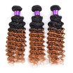 Sexy Lady 7A Malaysian Virgin Hair Ombre Deep Wave Cheap 1 Bundle Curly Weave Two Tone Human sexy lady kopen in de aanbieding