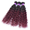 Sexy Lady Kinky Curly Peruvian Hair 1B Burgundy Ombre Two Tone Human Weave Non Remy Red Extensions 10 26Inch sexy lady kopen in de aanbieding