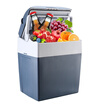 Joy Collection Us Solid Mobicool U30 Dc 30L Car Refrigerator Electronic Heatingcooling Box Mini Small Dormitory joy collection kopen in de aanbieding Joy Collection Us Solid Mobicool U30 Dc 30L Car Refrigerator Electronic Heatingcooling Box Mini Small Dormitory joy collection kopen in de aanbieding