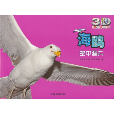 

海鸥：空中渔夫
