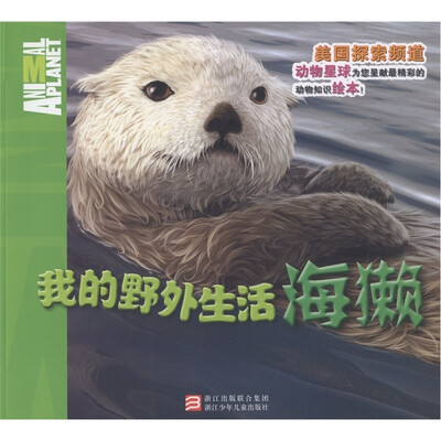 

我的野外生活：海獭