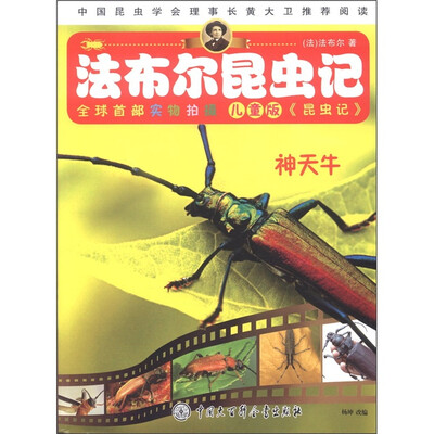 

法布尔昆虫记：神天牛（儿童版）