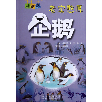 

老实憨厚：企鹅