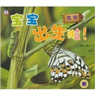 

宝宝出生啦！昆虫