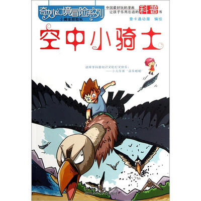 

奇妙幻境冒险系列：空中小骑士