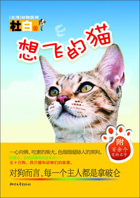 

想飞的猫