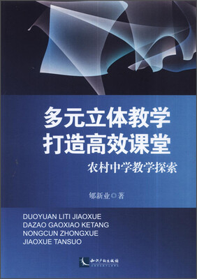 

多元立体教学 打造高效课堂：农村中学教学探索