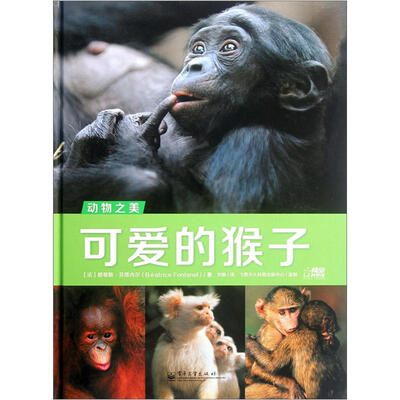 

动物之美：可爱的猴子