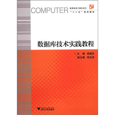 

高等院校计算机技术“十二五”规划教材：数据库技术实践教程
