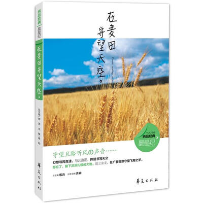 

在麦田守望天空
