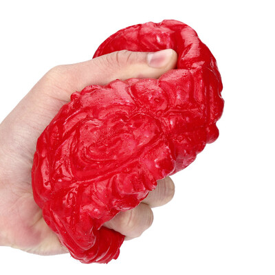 

〖Follure〗Novelty Silicone Stress Ball Scary Organ Brain Squeeze Toy Stress Reliever Toy