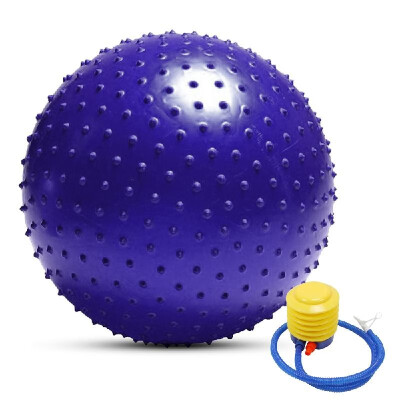 

Anti-burst Yoga Ball Thickened Stability Balance Ball Pilates Physical Fitness Exercise Ball 55CM 65CM 75CM Gift Air Pump