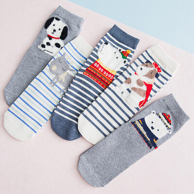 

Ladies cartoon socks cotton Japanese cute animal pattern in stockings 5 pairs