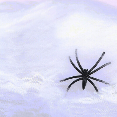 

Toponeto Cotton Spider Web Halloween Props Spider Home Bar Party Festival Decoration