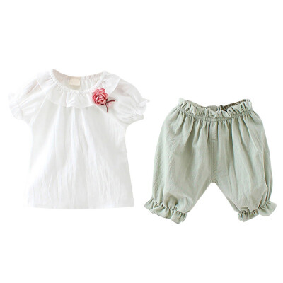 

Baby Girls Clothes Set Summer Short Sleeve T-shirt Shorts Childrens Flower Suits Cotton Flowers T-shirt Girls Clothes Set