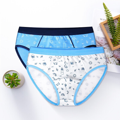 

Baby 2Pieceslot Panties Children 100 Cotton Underwear Boys Suits 2019 Clothes Child Clothing