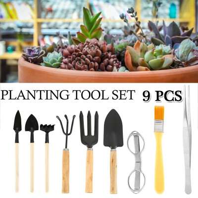 

9PCS Beginner Small Bonsai Care Bonsai Tree Kit Gardening Tools Set Plant Tools