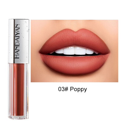 

1PC Moisturizer Easy wear Matte Velvet Lip Gloss 3D Plumper Lip Tint Liquid Lipstick Makeup Waterproof Sexy Mate