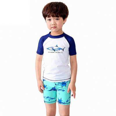 

Toddler Boys Summer Swimsuit Short Sleeve Cartoon Print Swimwear Beach Split Three-piece for 0-7Y