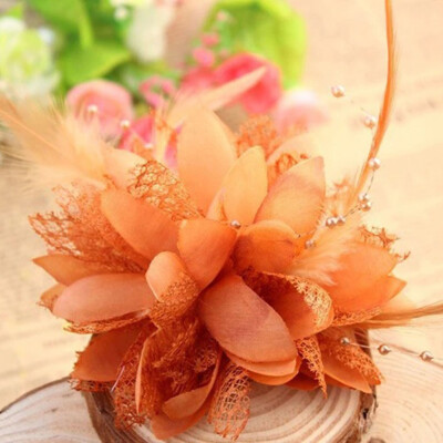 

Wedding Multi Style Flower Feather Bead Corsage Hair Clips Hairband&Pin