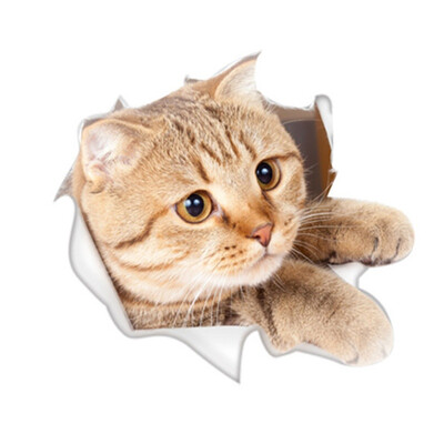 

Cat Vivid 3d Smashed Switch Wall Sticker Bathroom Toilet Kitchen Decorative Decals Funny Animals Decor Poster Pvc Mural Art
